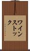 ワインストック Scroll
