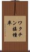 ワクチン接種率 Scroll