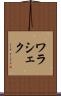 ワラシェク Scroll