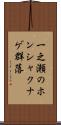 一之瀬のホンシャクナゲ群落 Scroll