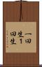 一回生 Scroll