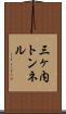 三ヶ内トンネル Scroll