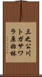 三之公川トガサワラ原始林 Scroll