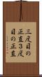 三度目の正直 Scroll