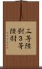 三等陸尉 Scroll