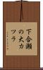 下合瀬の大カツラ Scroll