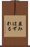 並みはずれる Scroll