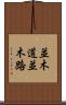 並木道 Scroll