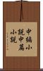 中編小説 Scroll
