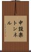 中設楽トンネル Scroll