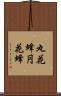 丸花蜂 Scroll