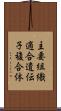 主要組織適合遺伝子複合体 Scroll