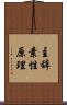 主辞素性原理 Scroll