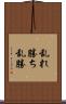 乱れ勝ち Scroll