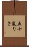 五十嵐りさ Scroll