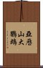 亞歷山大鸚鵡 Scroll