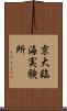 京大臨海実験所 Scroll