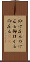 仰け反る Scroll