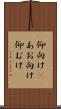 仰向け(P) Scroll