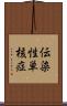 伝染性単核症 Scroll