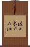 佐々木すみ江 Scroll