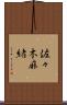 佐々木麻緒 Scroll