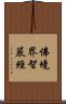 佛境界智嚴經 Scroll