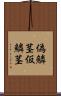 偽鱗茎 Scroll