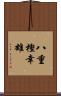 八重樫幸雄 Scroll