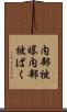 内部被曝 Scroll
