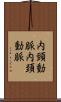 内頸動脈 Scroll