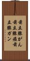 前立腺がん Scroll