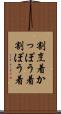 割烹着 Scroll