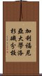 加利福尼亞大學洛杉磯分校 Scroll