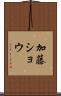加藤ショウ Scroll