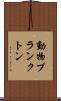 動物プランクトン Scroll