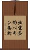 北京条約 Scroll