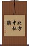 北方中杜鵑 Scroll