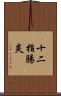 十二指腸炎 Scroll