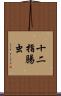 十二指腸虫 Scroll
