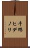 千綿ヒデノリ Scroll