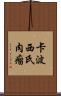 卡波西氏肉瘤 Scroll