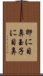 卵に目鼻 Scroll