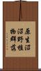 原生沼沼野植物群落 Scroll