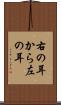 右の耳から左の耳 Scroll