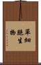 單細胞生物 Scroll