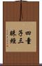 四童子三昧經 Scroll