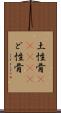 土性骨(ateji);ど性骨 Scroll