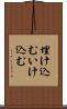 埋け込む Scroll