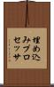 埋め込みプロセッサ Scroll